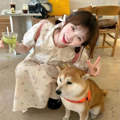 春日暖阳